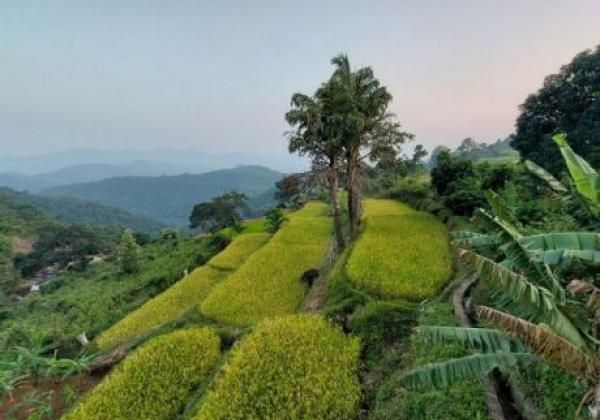 282---araku-tal-800x600