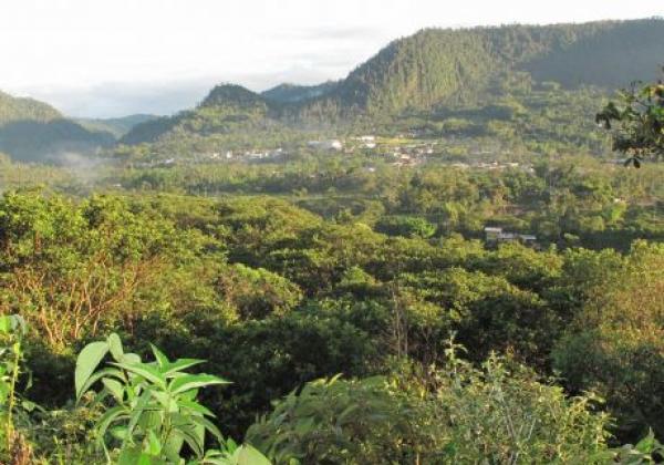 mindo-landscape.jpg
