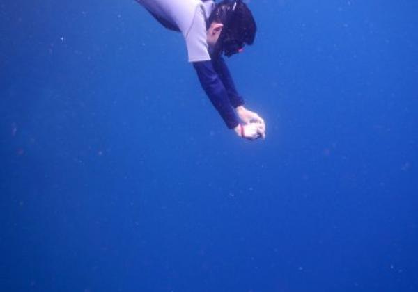 galapagos-san-cristobal-360tour-4.jpg