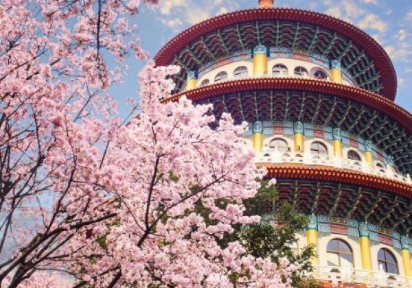 der-schöne-sakura-garten-mit-schönem-himmel-in-taipeh,-taiwan