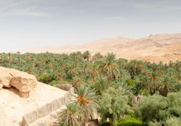 2023-09-mides-landscapes---atta-tunisia-16