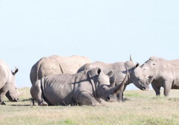 wildlife-img-0023.jpg
