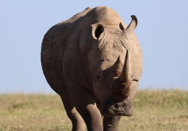 wildlife-img-0072.jpg