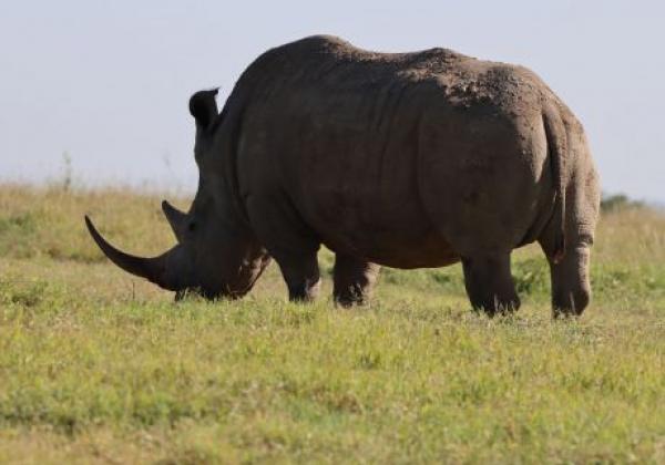 wildlife-img-0037.jpg