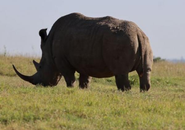 wildlife-img-0036.jpg
