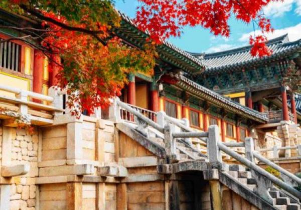 bulguksa-temple-south-korea