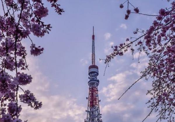 japan-tokyo-18