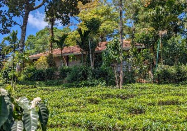 427-plenti-gudalur