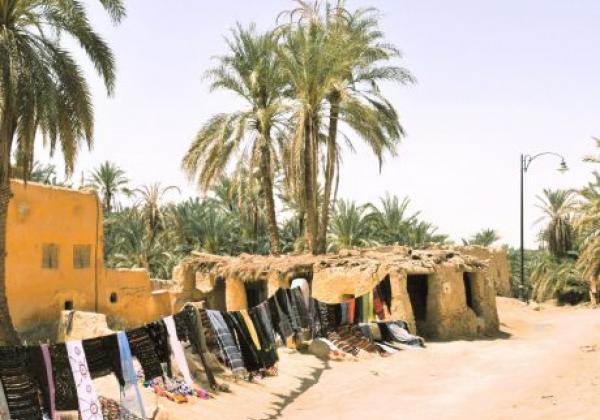 siwa-2.jpg