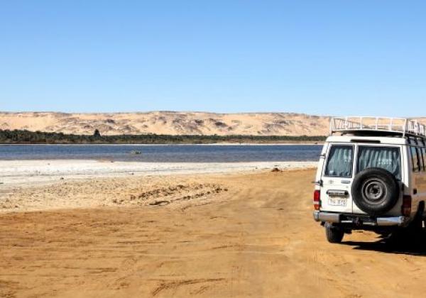 bahariya-4.jpg