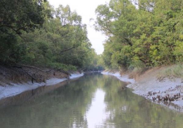 sundarban-7