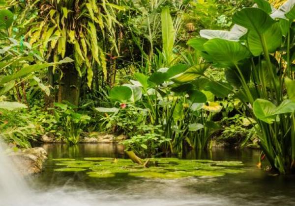 bird-park-kuala-lumpur