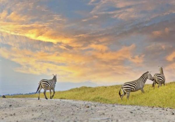 hells-gate-national-park