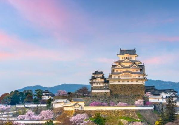 himeji,-japan,-burg-himeji-zur-zeit-der-kirschblüte-im-frühling.-(1)