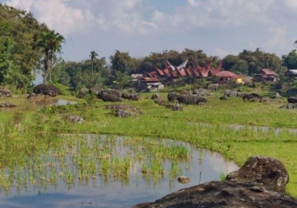 indonesien-sulawesi-toraja-batutumongga-6-sm-800x600