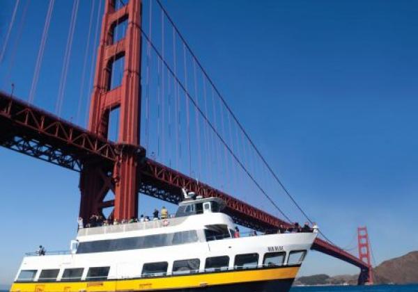 ca-san-francisco-blue-and-gold-golden-gate-bridge-vertical