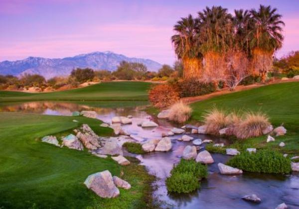 ca-palm-springs-desertwillow-1