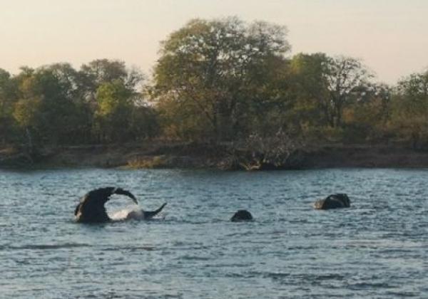 livingstone-–-victoria-falls-(simbabwe)-10