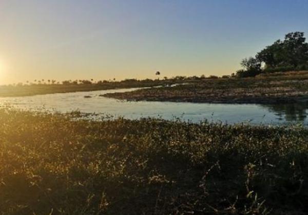 okavango-delta-(botswana)-2