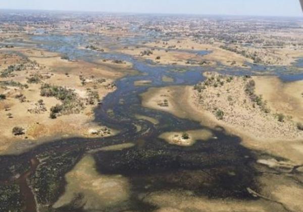 okavango-delta-(botswana)-1