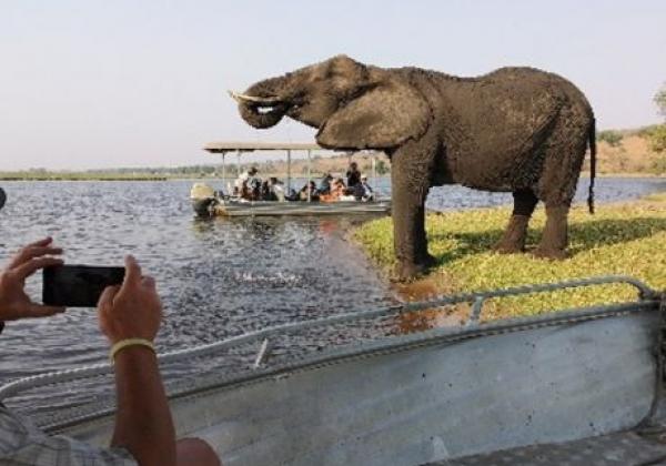 okavango-delta-–-kasane-3