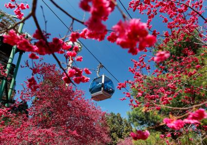 A cable car flying o_138_2.jpg