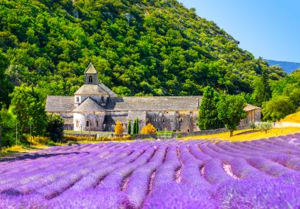 Abtei Senanque Gorde_144_4.jpg