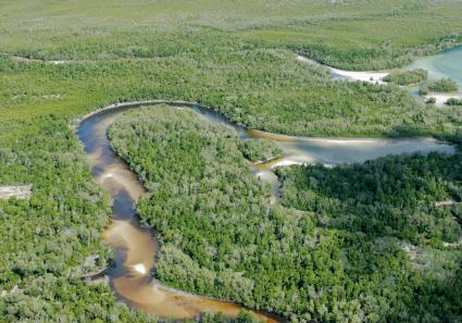 Aerial view of shall_115_4.jpg