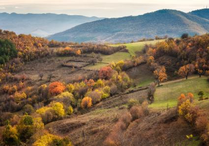 Amazing autumn view _96_1.jpg