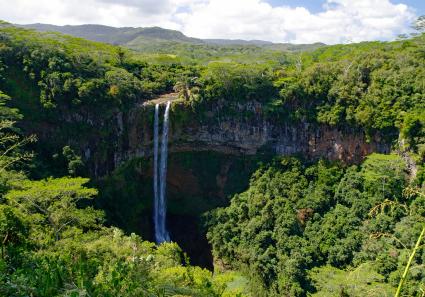 Black River Gorges N_114_2.jpg