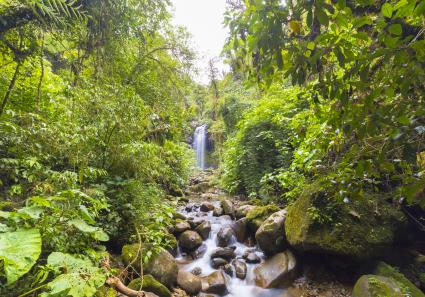 Boquete Wasserfall_27_3.jpg