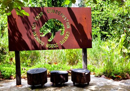 Bornean Sun Bear Con_19_4.jpg