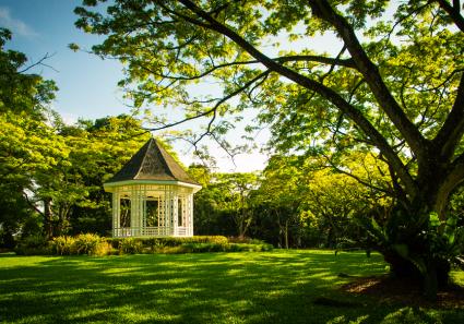 Botanische Gärten v_130_2.jpg