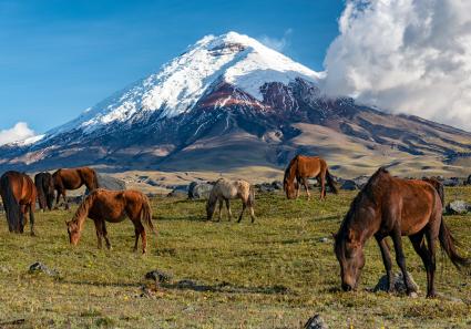 Cotopaxi_37_1.jpg