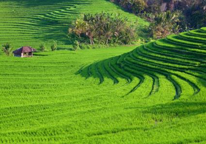 Feldterrassen auf de_66_3.jpg