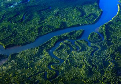 Fluss im tropischen _13_3.jpg