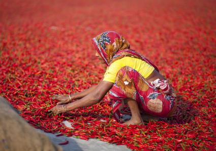 Frau in Bangladesh (_67_3.jpg