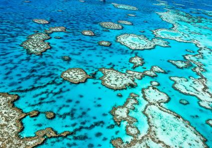 Great Barrier Reef (_63_3.jpg