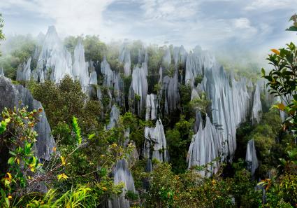 Gunung Mulu National_19_4.jpg