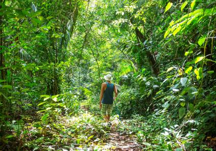 Hike in jungle in th_70_2.jpg