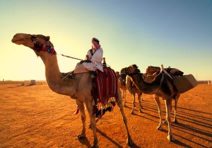 KAMEL IN SAUDI-ARABI_146_3.jpg