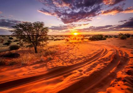 Kalahari in Namibia_7_3.jpg