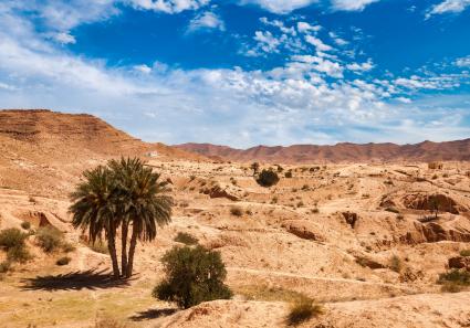 Landscape photograph_150_1.jpg