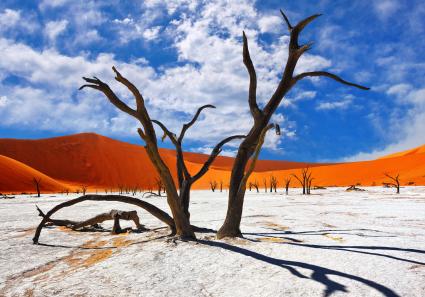 Namib Naukluft_7_2.jpg