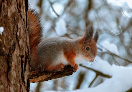 Osteuropa, Riga, Let_106_1.jpg