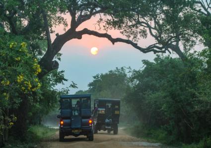 Safari Fahrzeug im Y_32_3.jpg