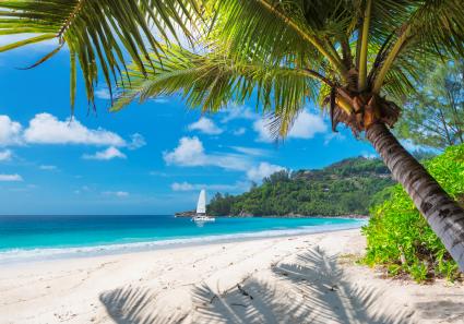 Strand in Jamaika_88_1.jpg