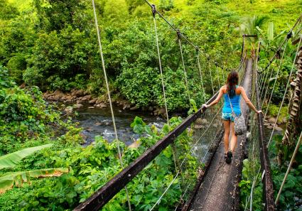 Taveuni ist die drit_97_3.jpg