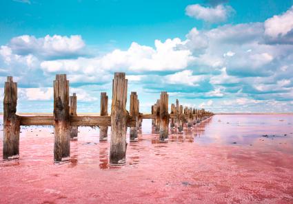 The pink lake is a b_127_1.jpg