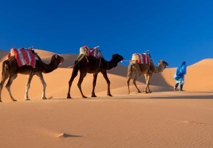 Wüstenkamelzug, Wü_109_3.jpg